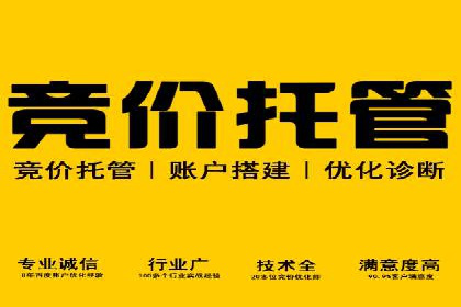 百度竞价代运营实战：某电商平台的销量翻倍秘诀